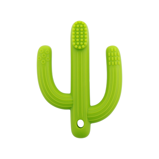 BABY JUJU-固齒器-仙人掌